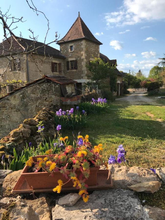 Hotel La maison d Hélène à Cambes  Extérieur photo